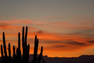 Rosarito in Mexico Has it All, Including Beaches, Food and Relaxation