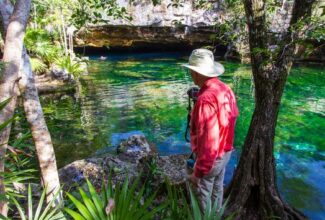 Routes Through the Best Jungles in Mexico