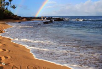 Hawai’i’s Latest Survey Bodes Well for Future Visitation