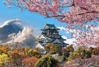 Royal Princess Debut Highlights Princess Cruises’ 2024 Japan Season