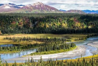 Alaska Poised for Record-Breaking Cruise Season in 2024