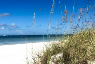 Red Tide Impacting Southwest Florida Beaches