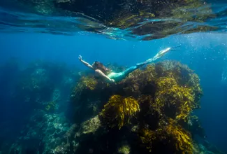 Become a Real-Life Mermaid With New Zealand's Latest Trip Giveaway Contest