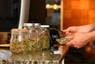 Cannabis-Friendly Hotels and Resorts to Consider as Industry's Marijuana Options Grow