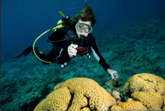 Explora Journeys Chooses Oceanographer Dr. Sylvia Earle as New Godmother for EXPLORA I