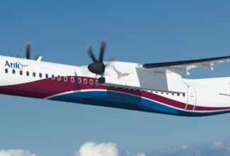 Arik Air Shareholders Accuse AMCON of Mismanagement and Breaches