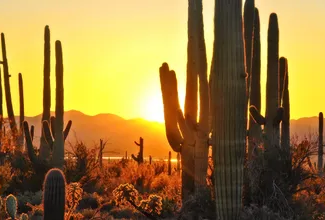 Tucson Launches Marketing Campaign to Attract Hispanic and Spanish-Speaking Travelers