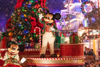 Walt Disney World Resort Hotels Announce Special Holiday Season Discounts