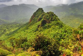 Preserving El Yunque National Forest: Puerto Rican Hotels Lead the Way