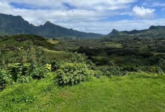 Exploring French Polynesia's Hidden Gems: A First-Timer's Journey Through Raiatea, Tahaa, and Moorea