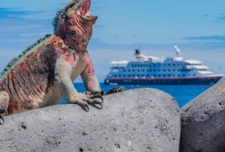 Ecoventura Launches Limited-Time Flash Sale for Luxury Galápagos Cruises