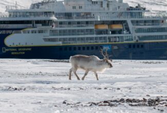 Budget-Friendly Tips for Embarking on an Arctic Cruise Expedition