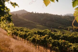 Discover Healdsburg: Your Ideal Weekend Getaway in Sonoma Wine Country