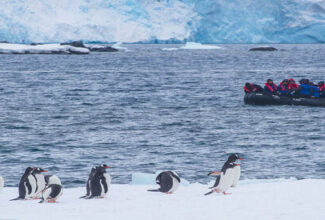 Aurora Expeditions Sets New Passenger Limit for Polar Cruises