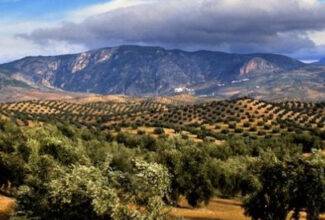 Andalucía Embraces Sustainable Tourism Growth
