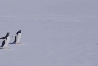 National Geographic Launches Drake Passage Air Voyage