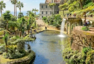 Uniteds New Nonstop Flight Opens Madeira to U.S. Travelers