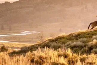 Wyoming's 'Modern Explorers' Campaign Fuels Travel Boom