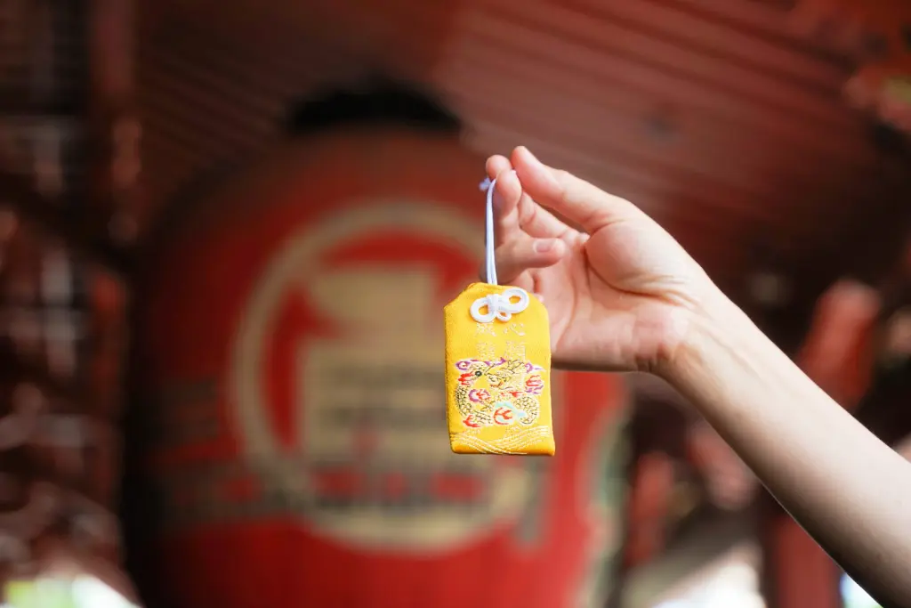 one souvenir you must bring home from Japan