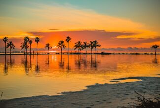 Top 7 States With No Tax on Social Security